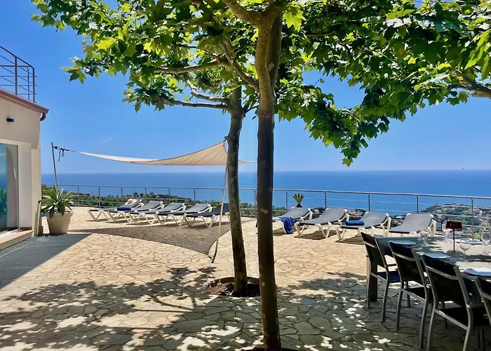 Willa Joie De Vivre *